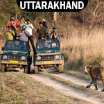 Jim Corbett Tour Package