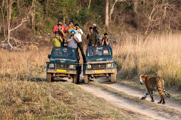 Jim Corbett Safari Tour Package